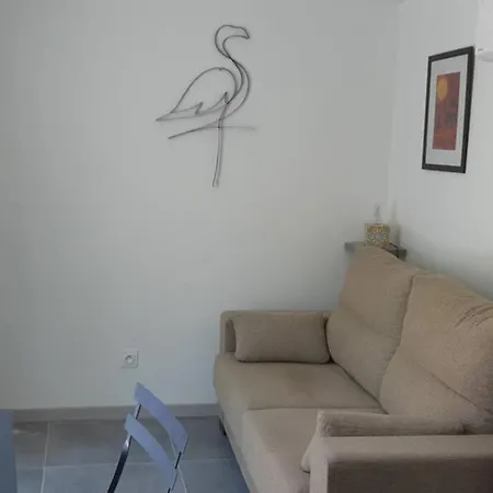 Studio Avec Jardin Et Parking Prive Apartamento Aigues-Mortes